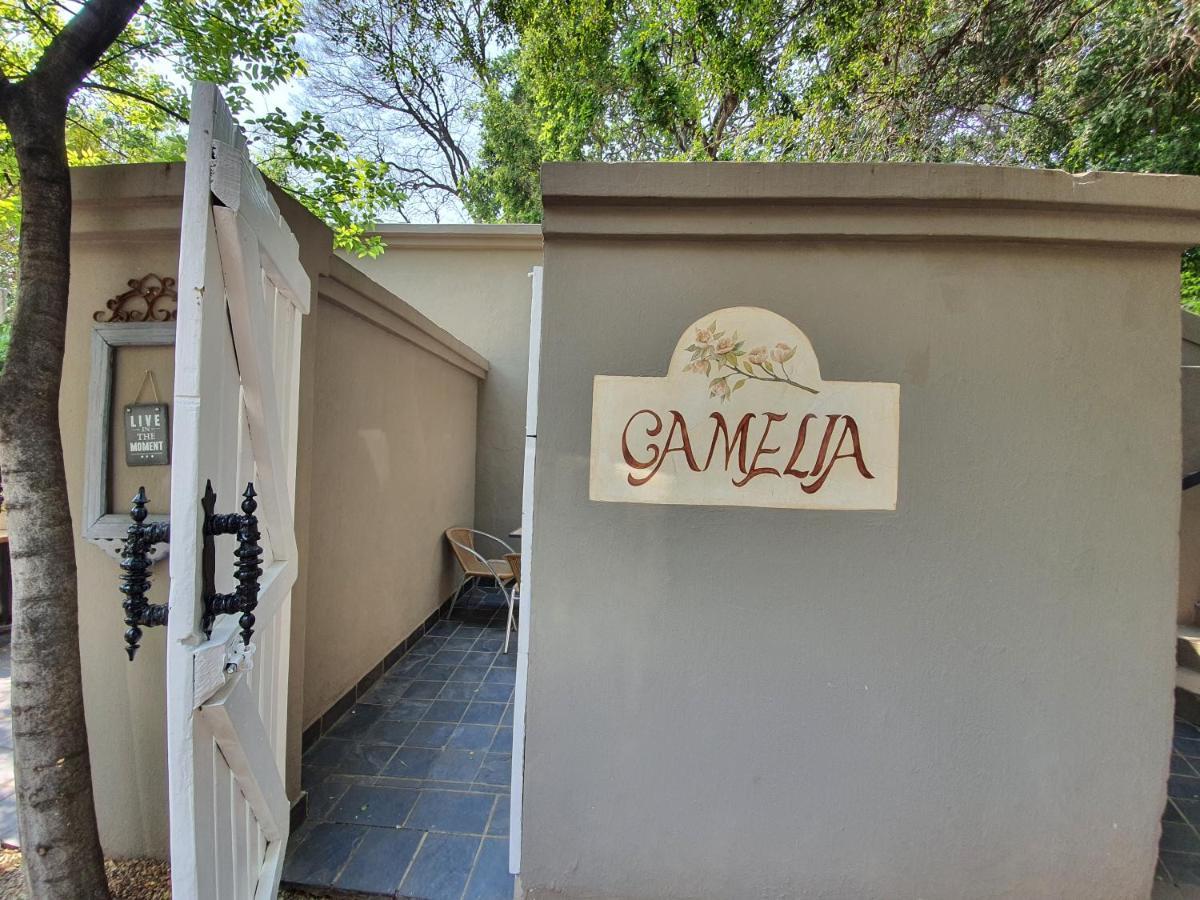 Waterhouse Guest Lodge In Muckleneuk Pretoria-Noord Værelse billede